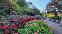 Singlereise Kanada - Butchart Gardens auf Vancouver Island
