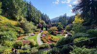 Singlereise Kanada - Butchart Gardens auf Vancouver Island