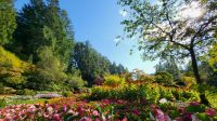 Singlereise Kanada - Butchart Gardens auf Vancouver Island
