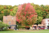 207 Indian Summer