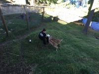 207 Omega Wildpark
