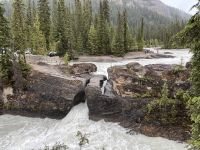 Kicking Horse River Valley (1)
