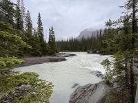 Kicking Horse River Valley (2)