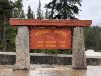 Kicking Horse River Valley (3)