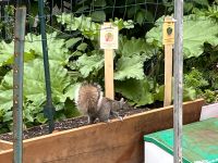 Montral - erste Erkundungen (3)