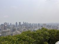 Montreal - Blick vom Parc du Mont-Royal (3)