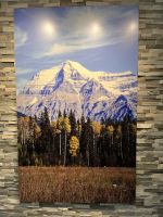 Mount Robson - mal nicht in Wolken (2)