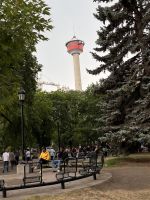 Stadtbesichtigung in Calgary (6)