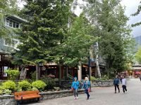 Whistler (2)