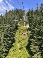 ...auf dem Grouse Mountain (4)