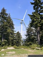 ...auf dem Grouse Mountain (6)