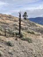 ...auf dem Weg nach Lilloet (1)