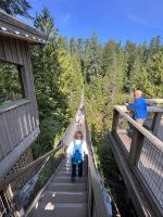 An der Capillano Suspension Bridge (5)