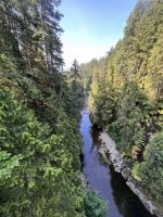 An der Capillano Suspension Bridge (6)