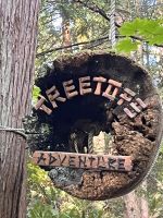 An der Capillano Suspension Bridge (9)