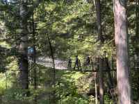 An der Capillano Suspension Bridge (11)