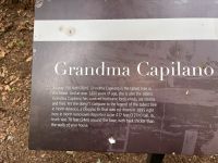 An der Capillano Suspension Bridge (12)