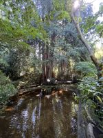 Butchard Gardens (1)