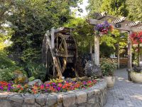 Butchard Gardens (2)