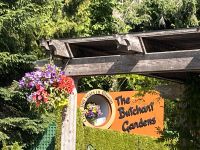 Butchard Gardens (3)