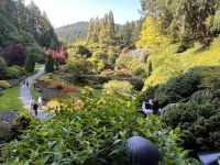 Butchard Gardens (4)