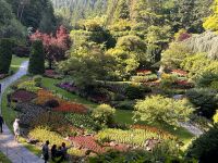 Butchard Gardens (5)