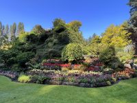 Butchard Gardens (6)