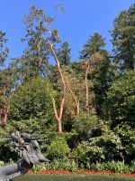 Butchard Gardens (10)