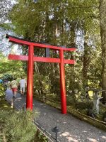 Butchard Gardens (11)