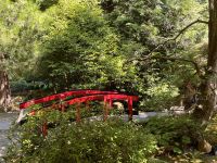 Butchard Gardens (12)