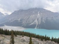 Eindrücke am Peyto Lake (2)