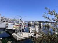 Fährfahrt von Swartz Bay nach Tsawassen (2)