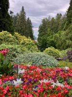 Aussicht auf den eigenen Hafen