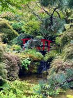 Die rote Holzbruecke im japanischen Garten