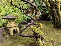 Die Laterne im japanischen Garten