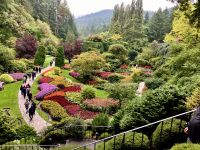 Der Versunkene Garten