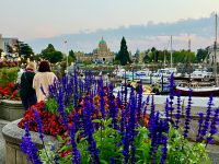 Blumen vor dem Parlament in Victoria