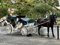 Ein Fiaker in Victoria