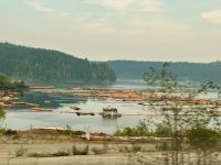 Ueberall nur Holz und Baumstaemme