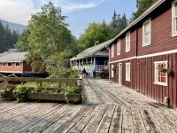 Steig in Telegrapf Cove