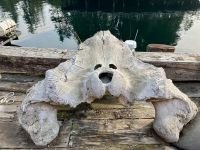 Stofftier ? Eisbaer ? Ein Walknochen !