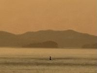 Die Abend-Vorstellung des winkenden Buckelwales