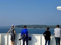 Ausschau halten auf Wale