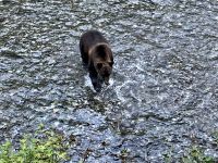 Ich krieg Euch schon