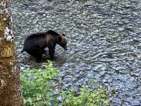 Ahhh das schoene Abendbrot