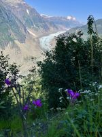 Unterer Teil des Salmon Gletschers