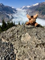 Maskottchen Bodeau passt immer auf uns auf