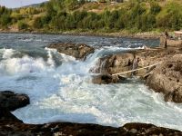 Fischen mit dem riesen Koecher