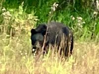 Ich sehe Euch bin aber sehr hungrig