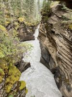 Wunderbare Athabasca Schlucht
